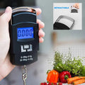 Digital Portable Hook Type Weighing Scale